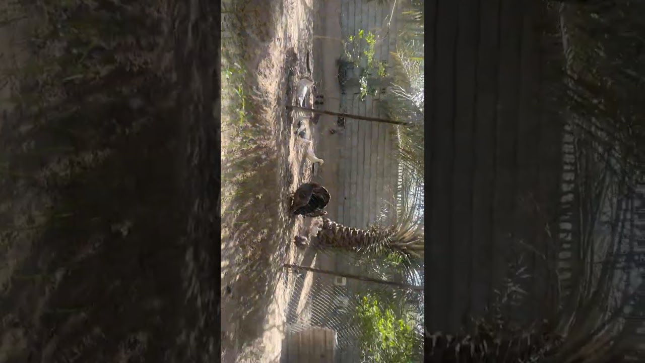 ١٦ فبراير، ٢٠٢٦