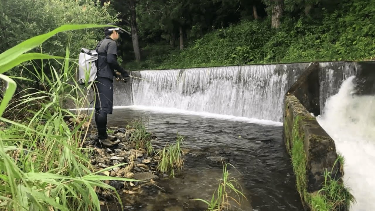 初心者に優しい釣り ウキの動きに注目するのだ