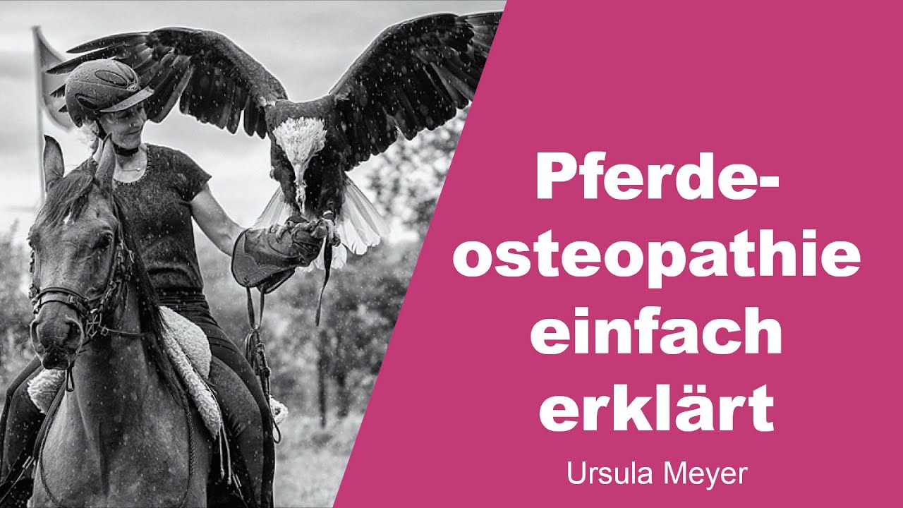 Pferdeosteopathie einfach erkl&auml;rt - Ursula Meyer - 1