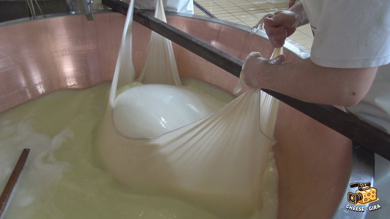 Mario Guareschi: caseificazione del Parmigiano Reggiano. II video di IV