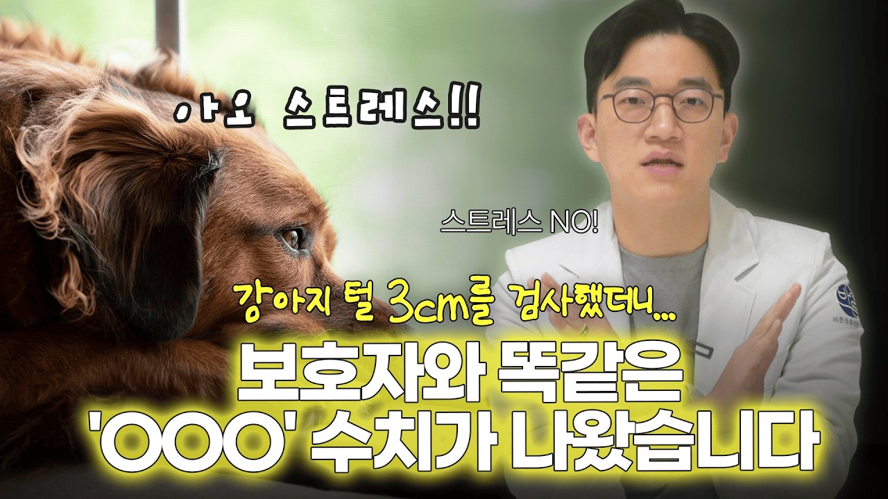 강아지가 내 기분을 귀신같이 알아채는 진짜 이유