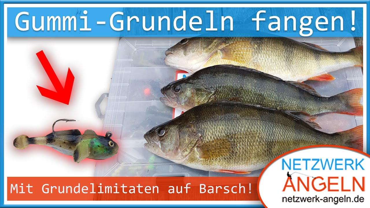 Barschangeln mit  Gummi-Grundeln