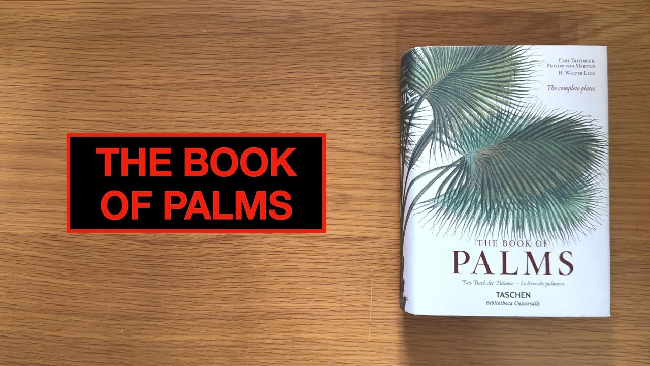 THE BOOK OF PALMS #bookflip