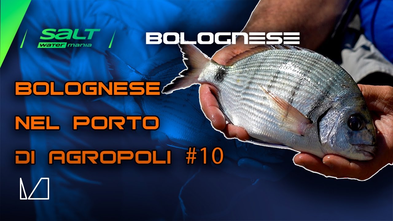 SALT WATER MANIA - PUNTATA 10 - BOLOGNESE – BOLOGNESE NEL PORTO DI AGROPOLI