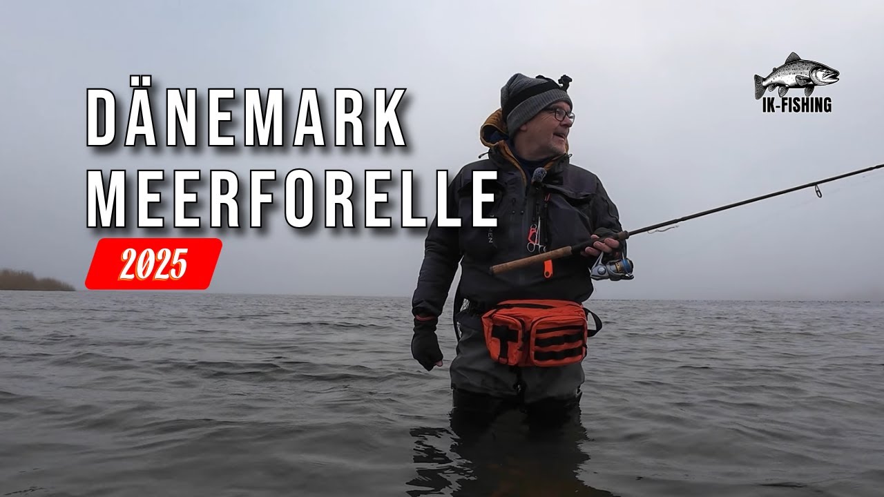 Meerforelle angeln in Dänemark | Mein erster Fisch 2025?