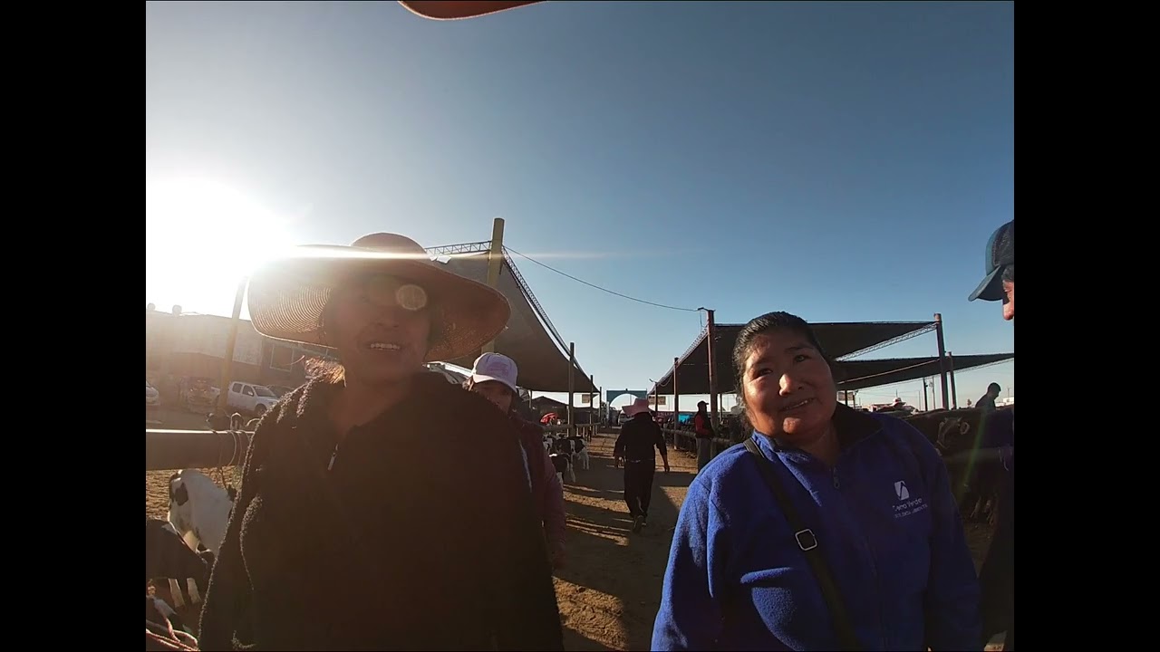Feria de animales en el camal de Pedregal Majes Arequipa Perú.