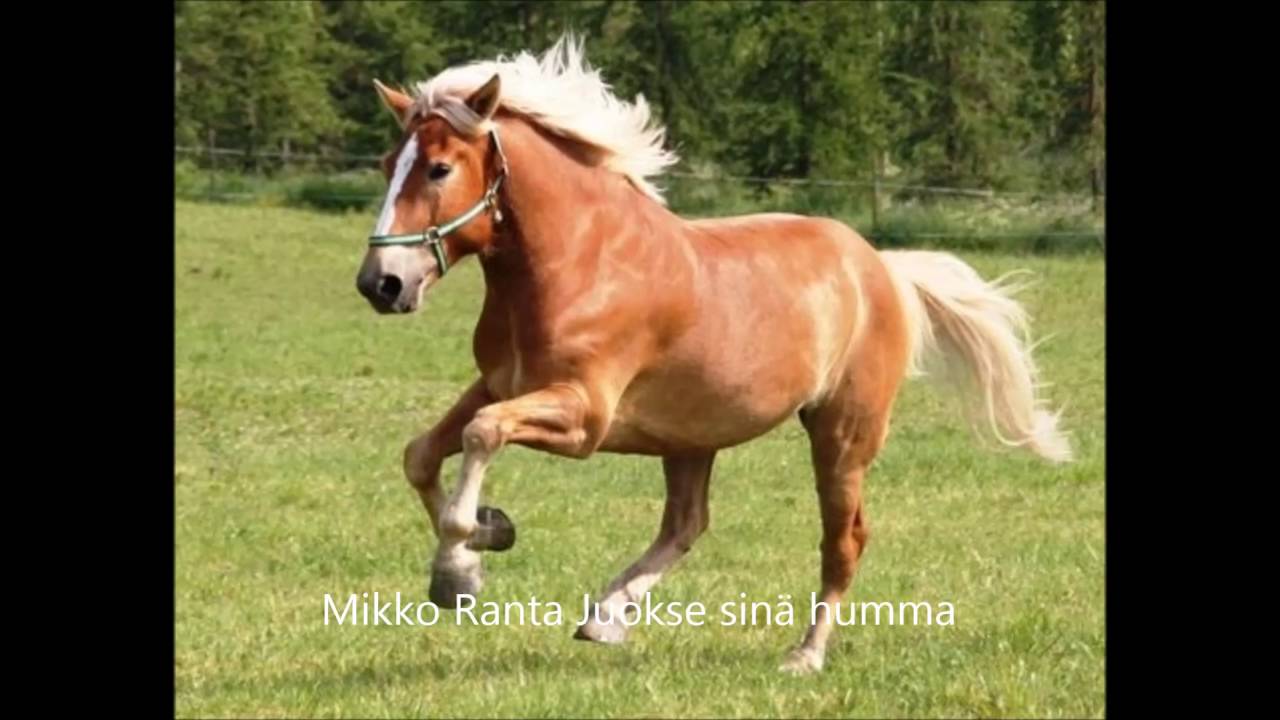 Juokse sinä humma