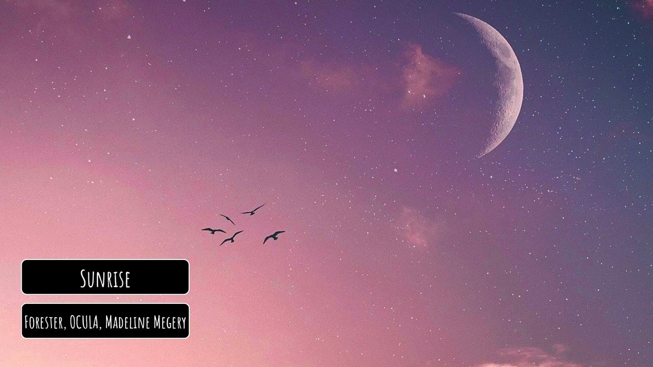 Forester, OCULA, Madeline Megery - Sunrise