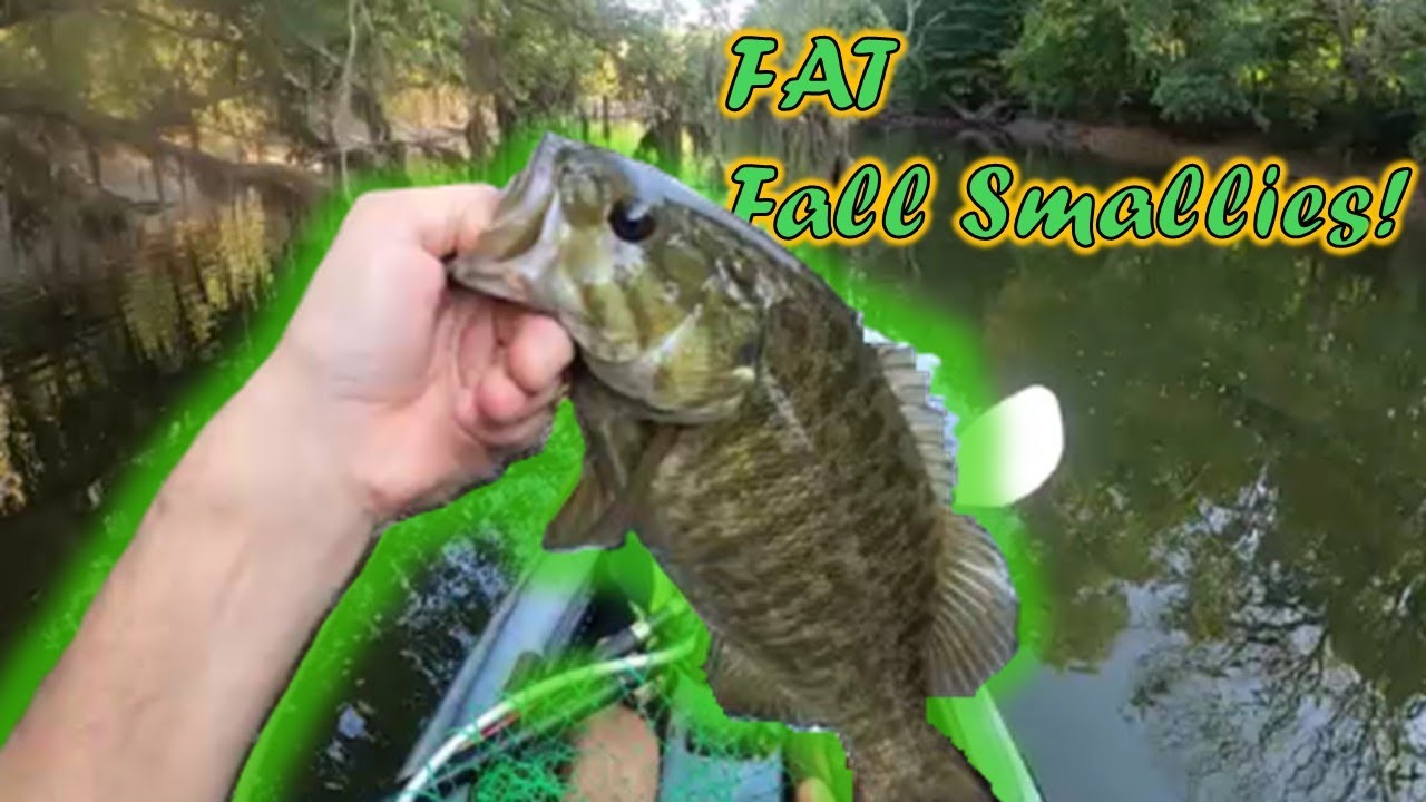 Fat Fall Smallmouth on the Lower Huron