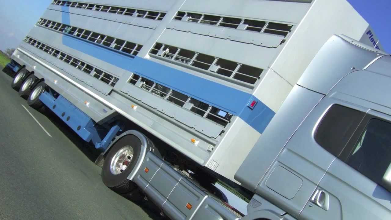 Plowman Livestock -  Scania V8