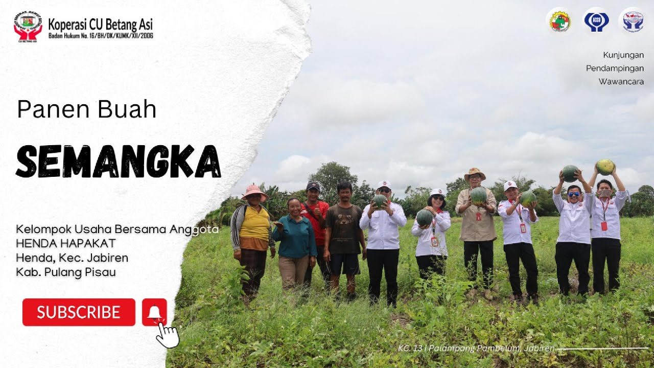 Panen Buah Semangka Hingga 35 Ton per Hektar | Kunjungan & Pendampingan | Ds. Henda Kal-Teng