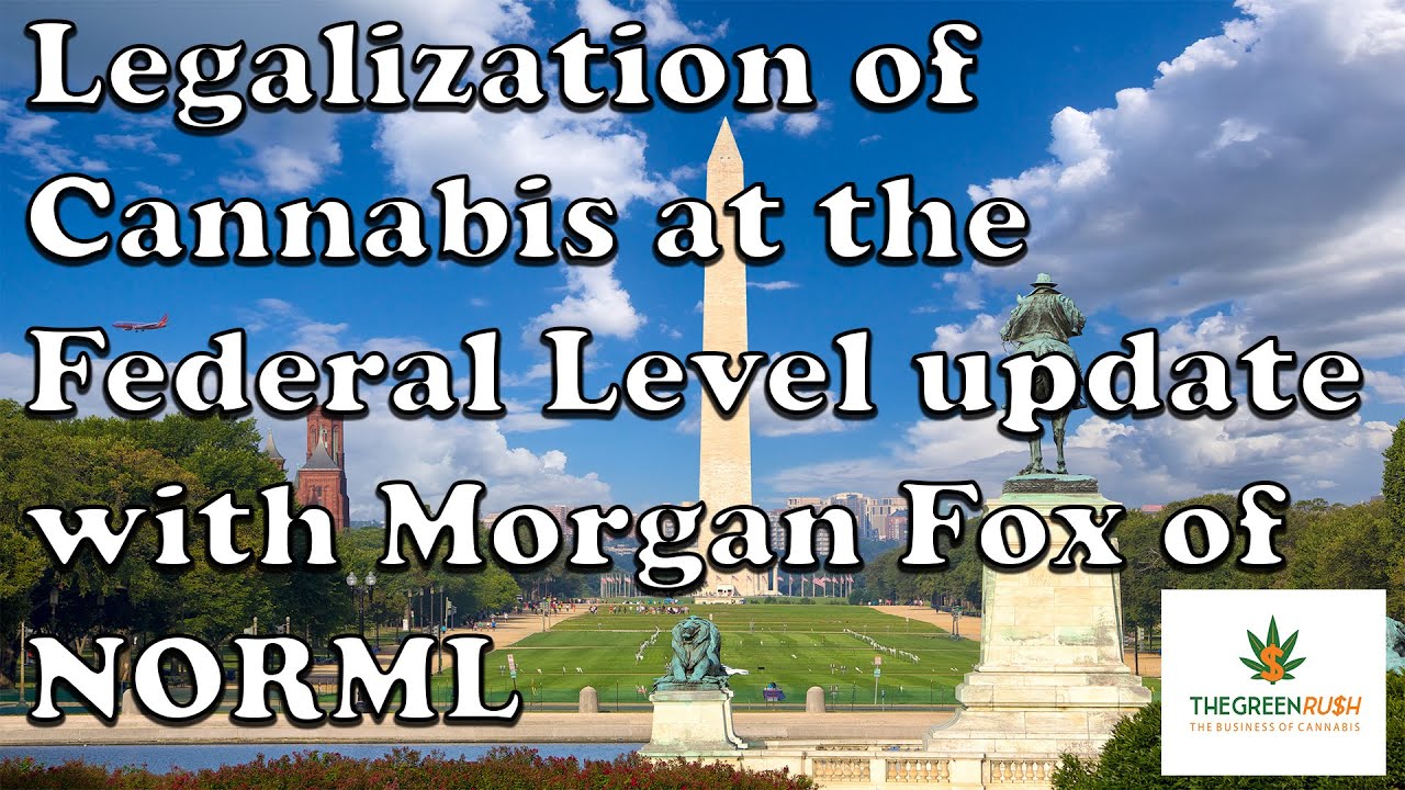 Legalization of Cannabis at the Federal Level update with Morgan Fox of NORML