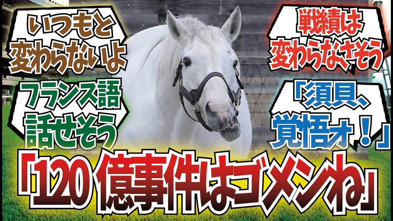 「もしもあいつが日本語を話せたら…」に対するみんなの反応集