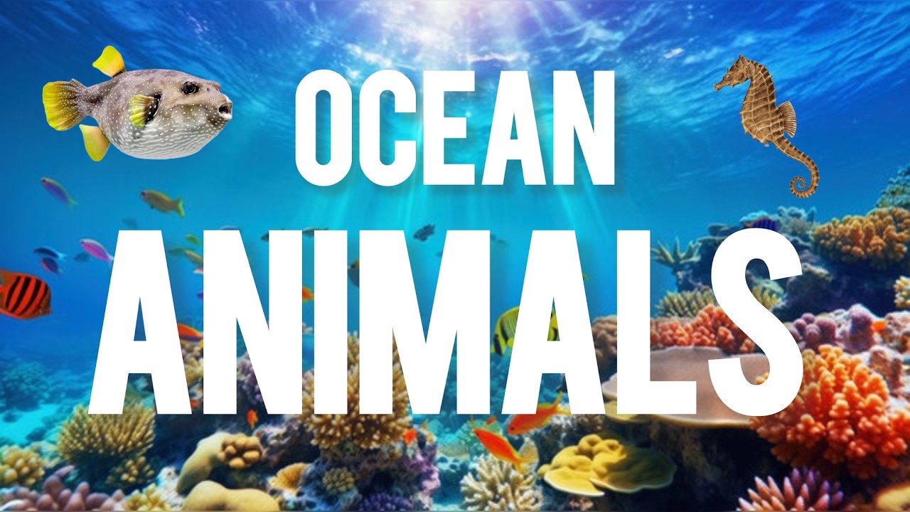 🌊🐠 Ocean Animals for Kids | Learn Sea Creatures in a Fun Way! 🐳🦀