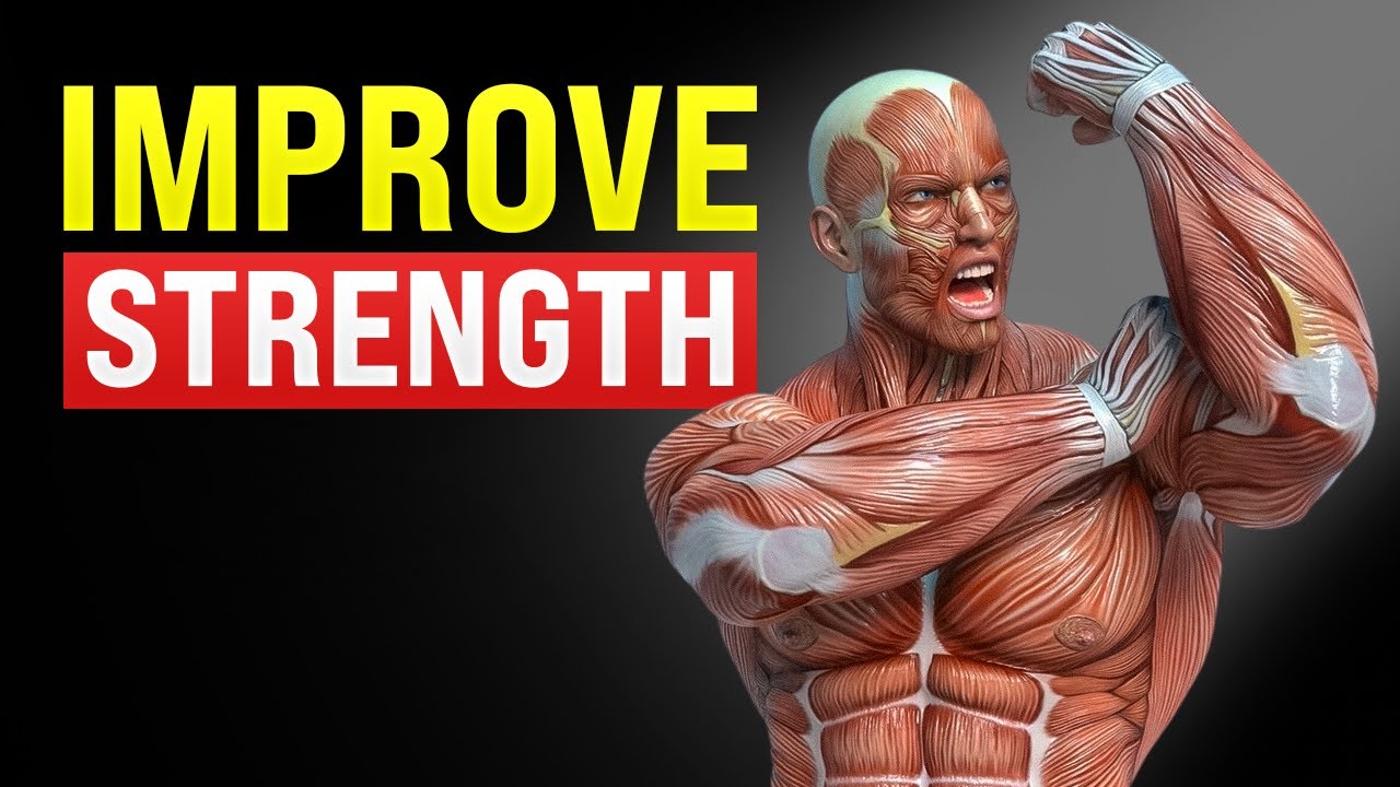 How to Improve Muscular Strength | Best Exercises to Improve Strength