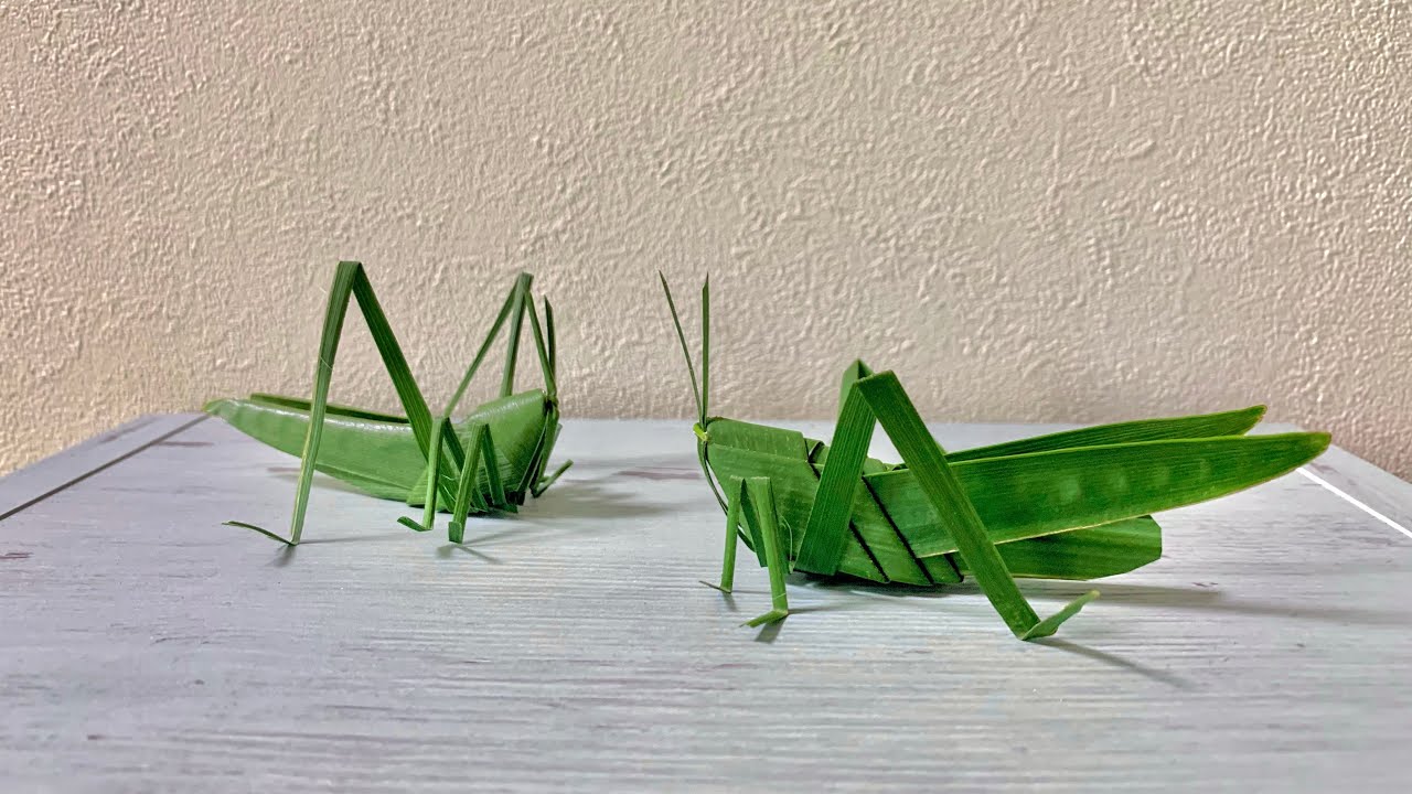 シュロ の葉のバッタ（伝承の草花あそび）