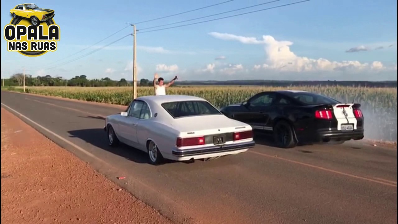 OPALA VS MUSTANG