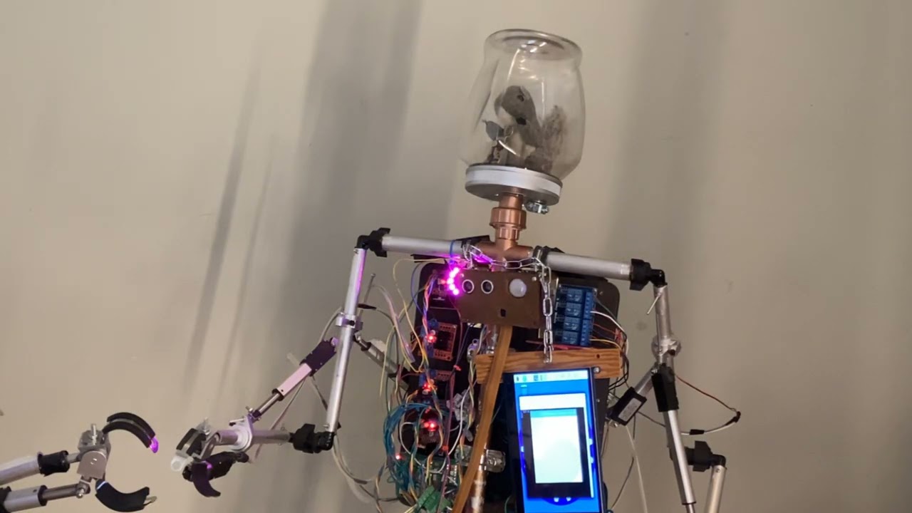 Autonomous Robots Discussing Power