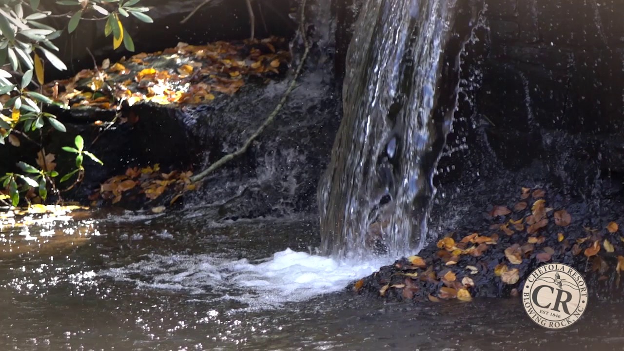 Chetola Resort at Blowing Rock Fall 2016