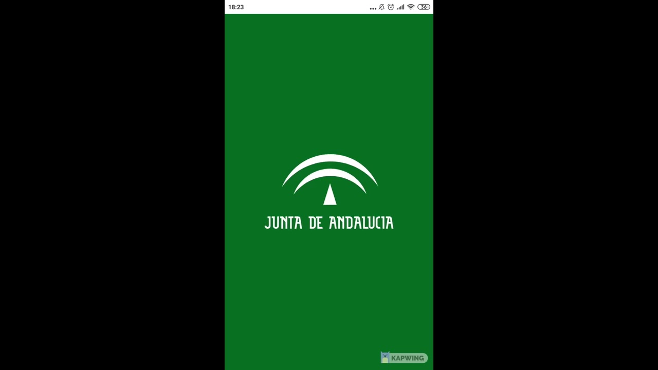 Videotutorial App SAE