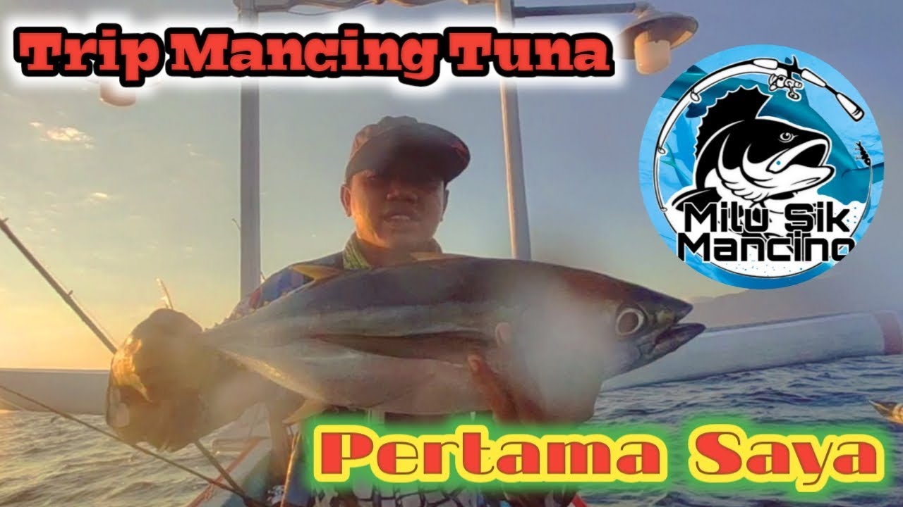 Mancing Tuna di laut Bali Utara, Sensasi Yang Mendebarkan