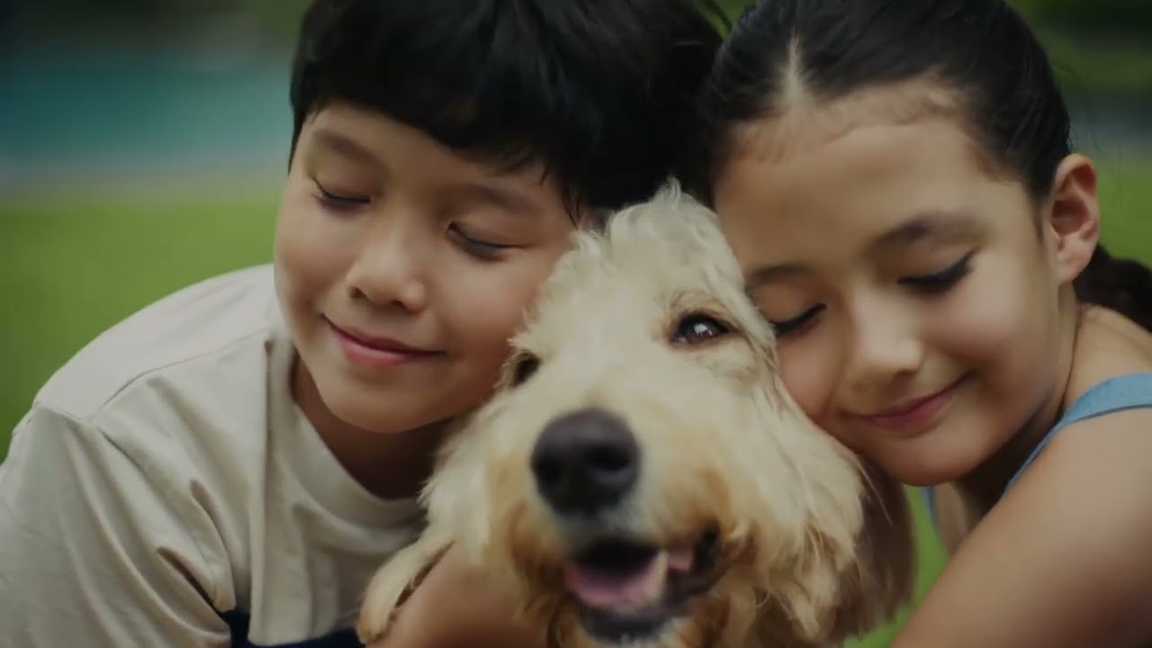Nava Grove Marketing Video