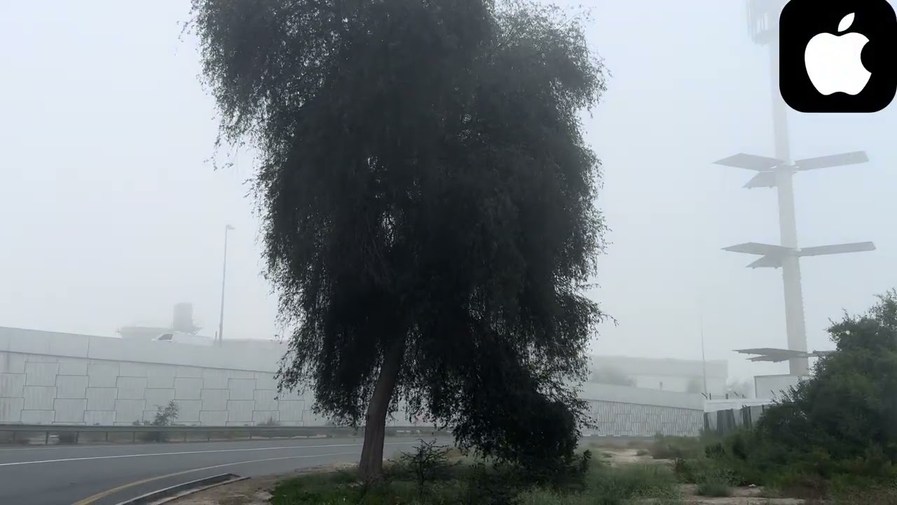 Morning 😍walk in Dubai Local views🇦🇪🇦🇪