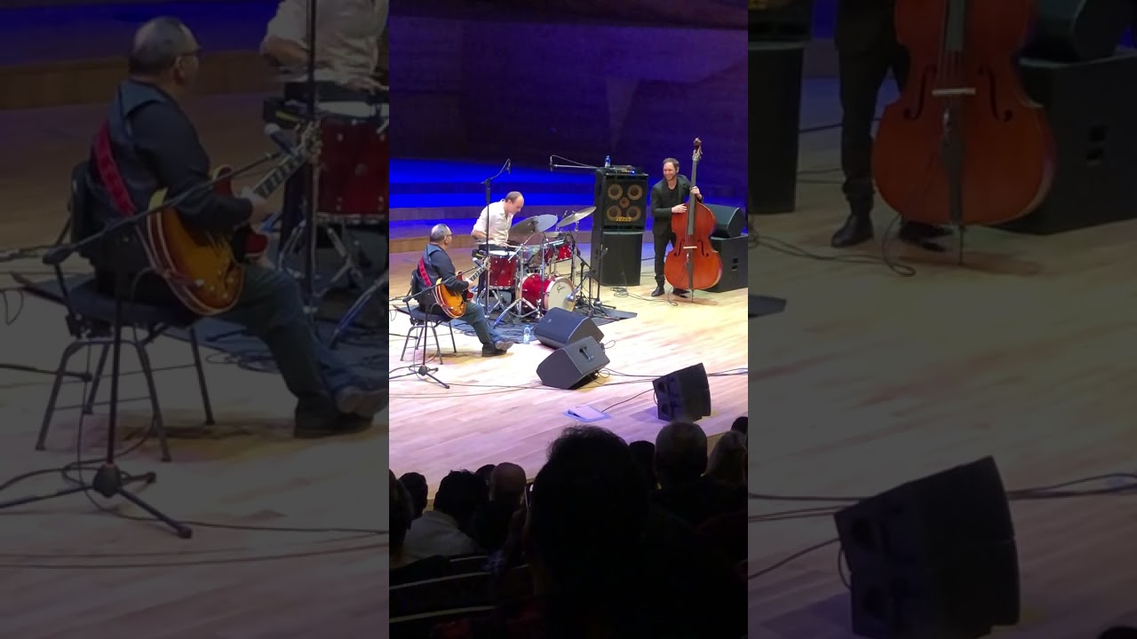 Bireli Lagrene Trio