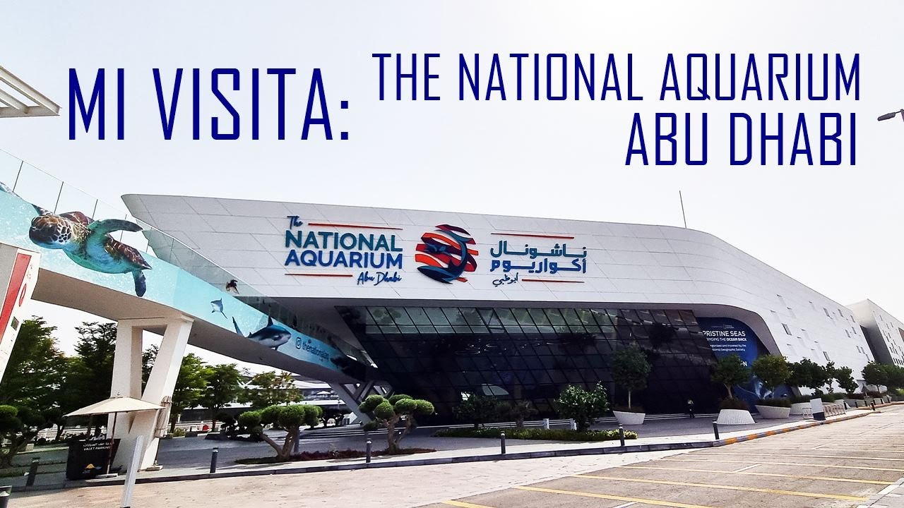 REVIEW: Sobre mi visita a The National Aquarium Abu Dhabi