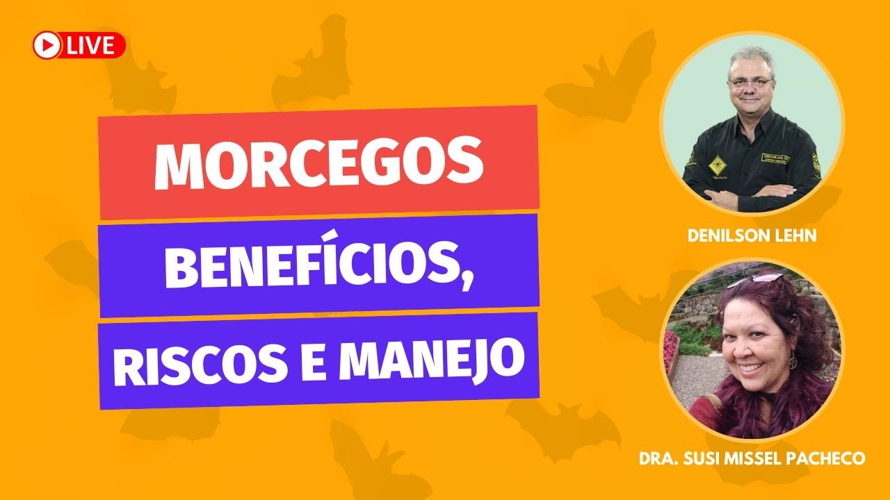Morcegos: benefícios, riscos e seu Manejo