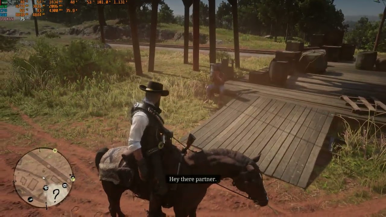 Red Dead Redemption 2