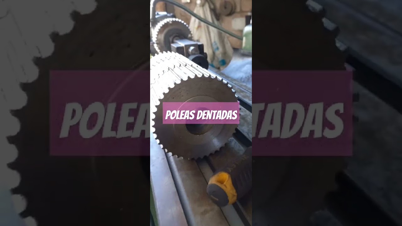 Poleas Dentadas