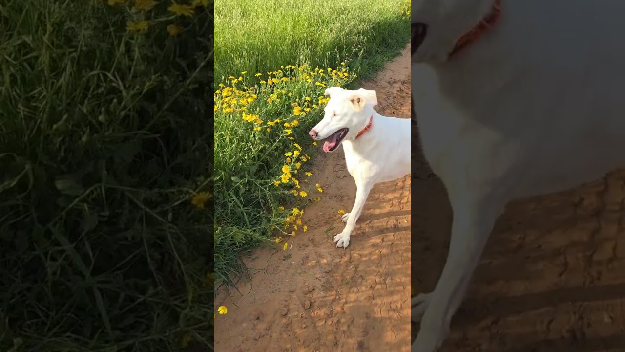 Когда наконец-то выспались 😊