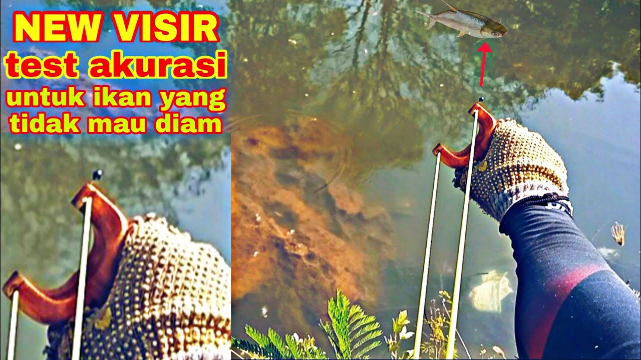 Titik bidik ketapel ikan dengan visir pentol,, akurasinya lebih tepat kesasaran.