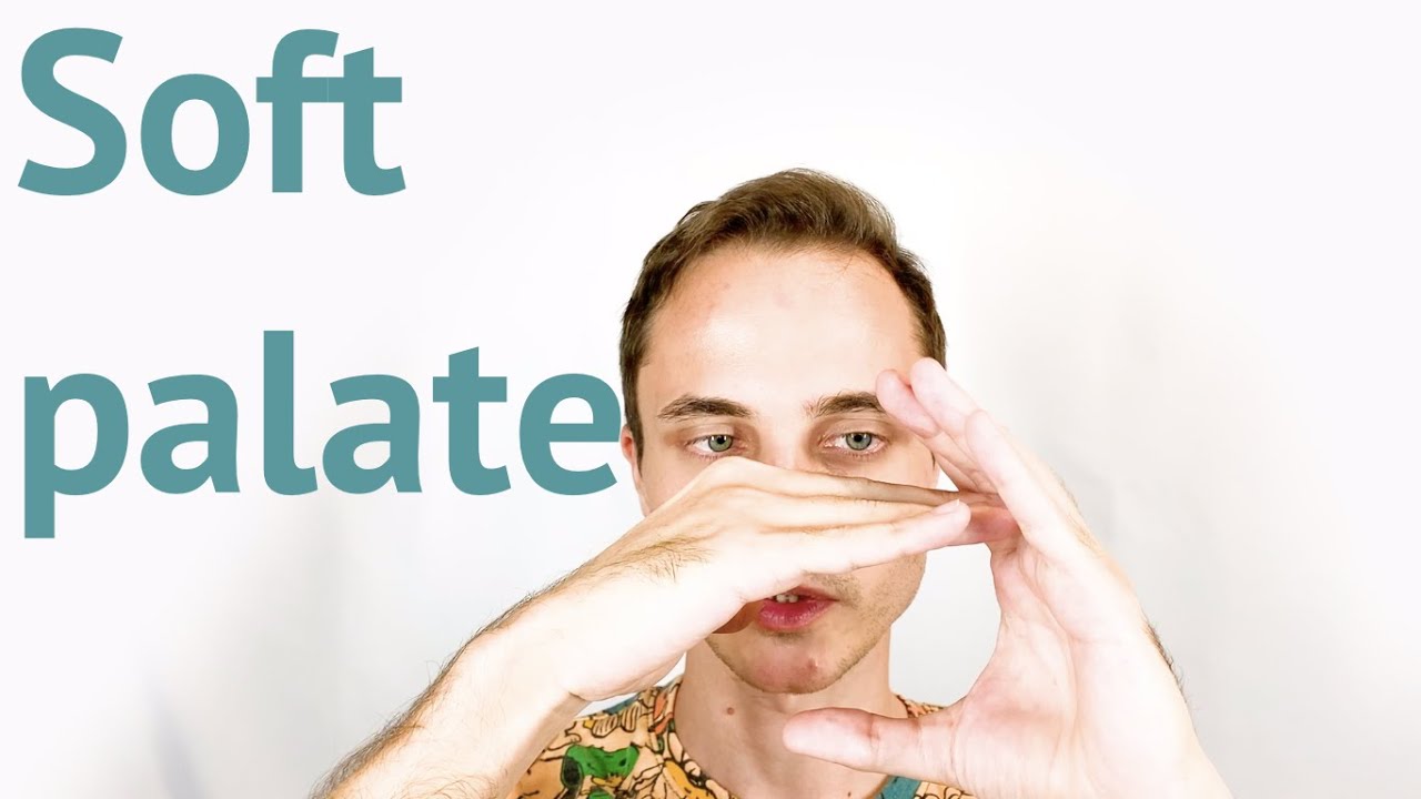 Soft palate. The misunderstanding about raising it.