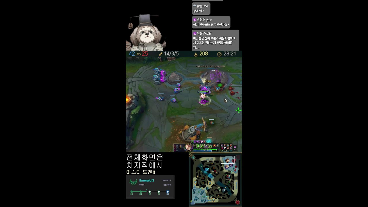 도사츄 마스터 도전해볼래요!