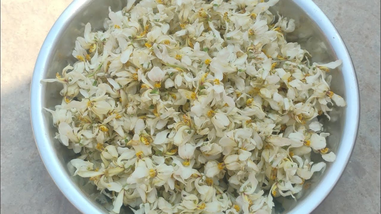 সজনে ফুলের এমন একটি রেসিপি থাকলে গরম ভাতের সঙ্গে জমে যাবে । Sojne fuler recipe ।Gita Rannaghor 