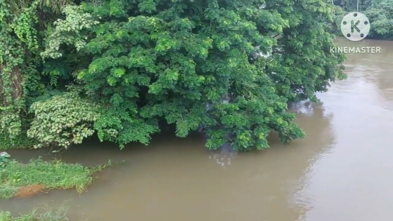 Meenachil river kottayam kerala state india