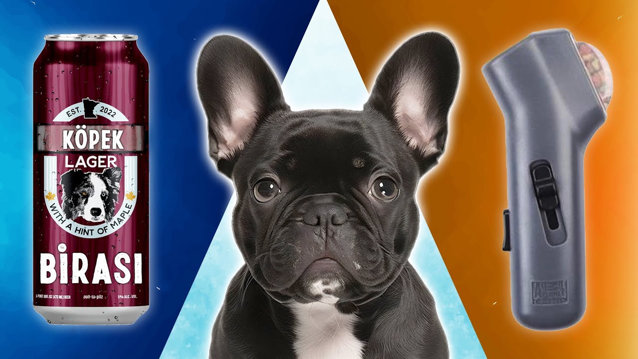 KÖPEKLER, TREND KÖPEK ÜRÜNLERİNİ DENİYOR!
