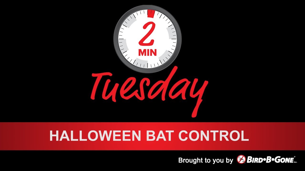 Bat Control
