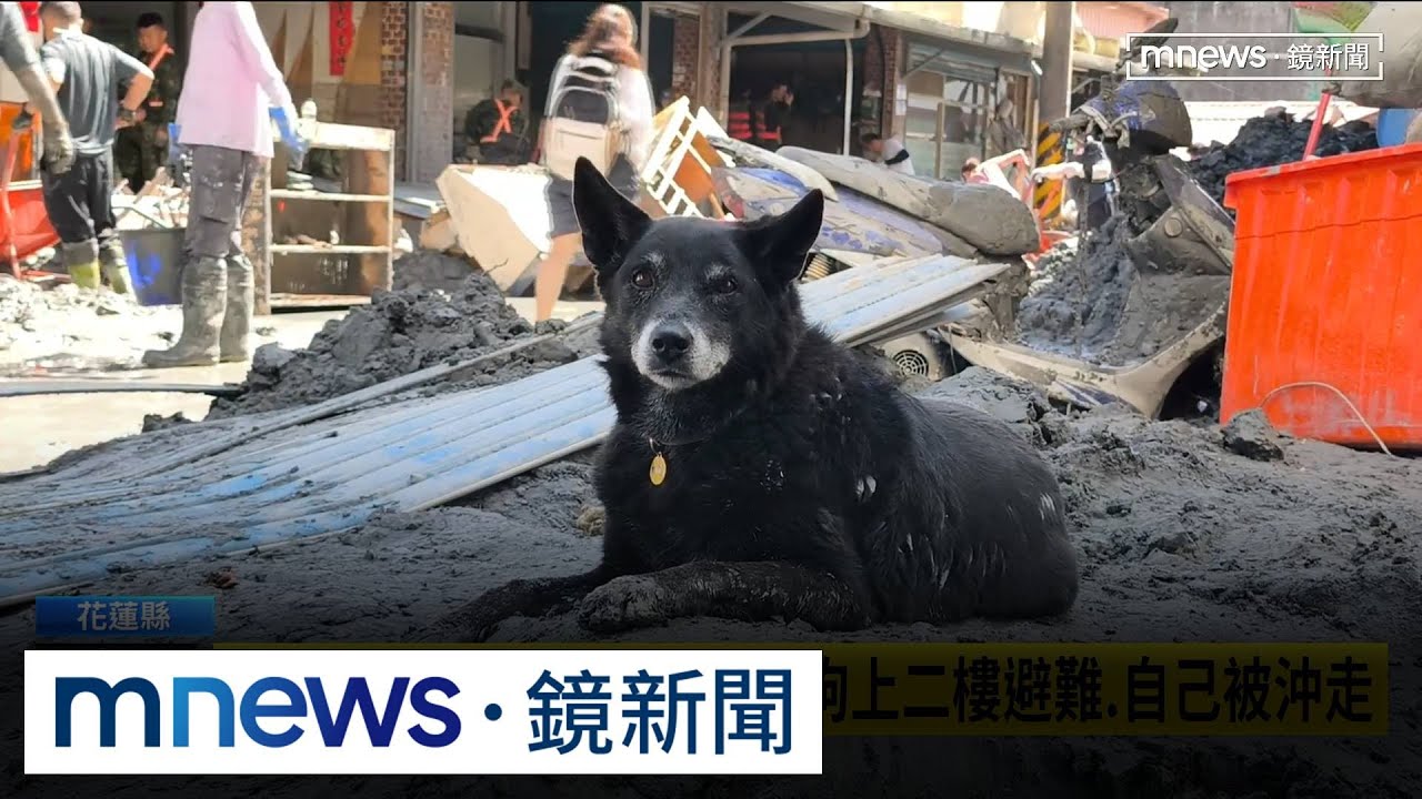 大水來的那一刻　老阿嬤趕狗上二樓避難、自己被沖走｜#鏡新聞