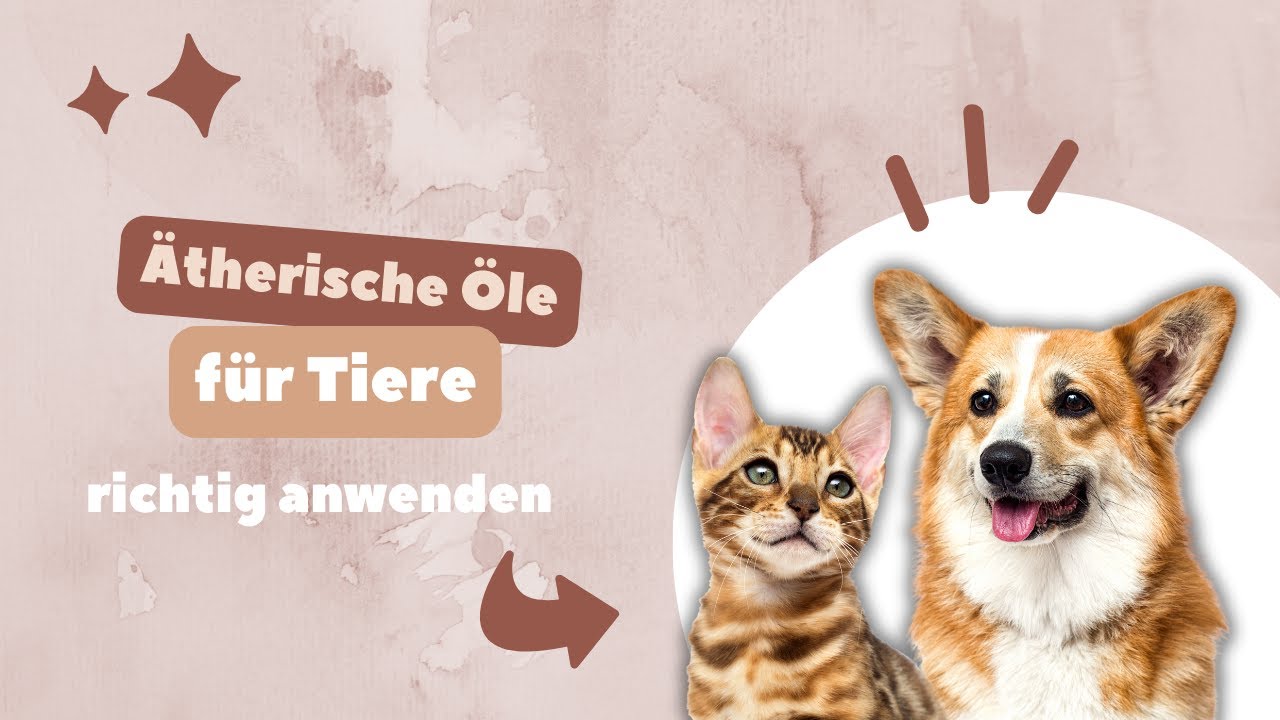 Ätherische Öle für Tiere