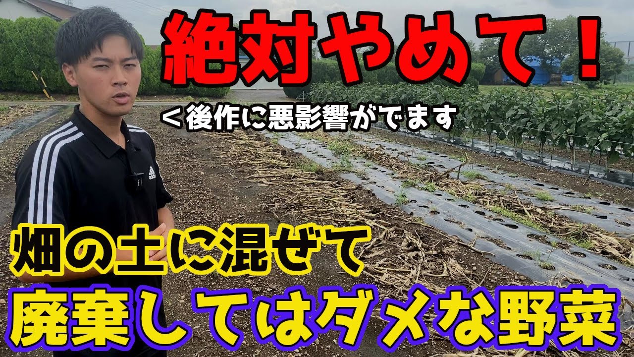 絶対NG！この野菜達だけは残渣処理すると悪影響がでます。【家庭菜園】【夏野菜】