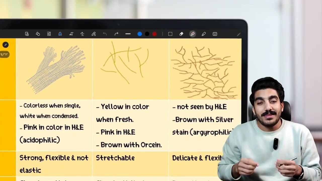 4 -CT Types of fiber   | طب أسنان القصر العيني