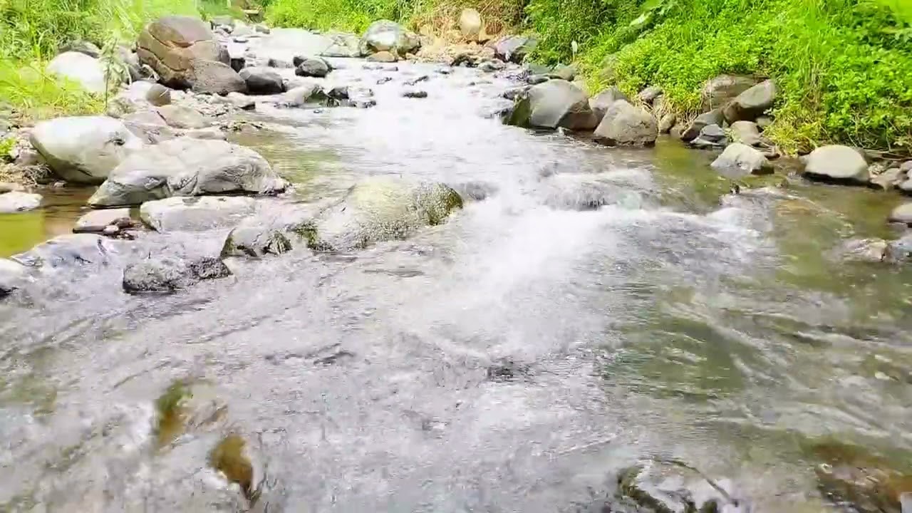 Natural Sounds of a Forest River for Relaxation, Calming Water Sounds for Refresh Your Mind #youtube