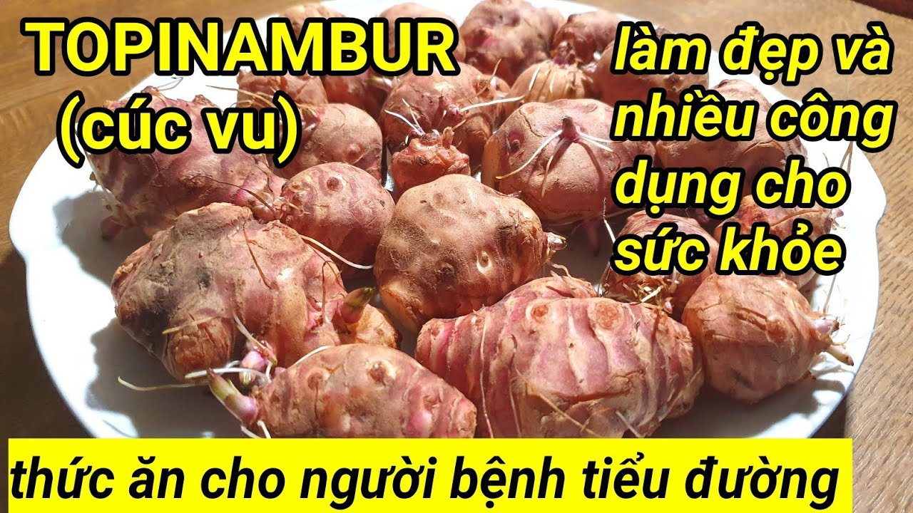 Loại củ rất tốt cho sức khỏe, người bệnh tiểu đường nên ăn, Topinambur / cúc vu /Jerusalem Artichoke