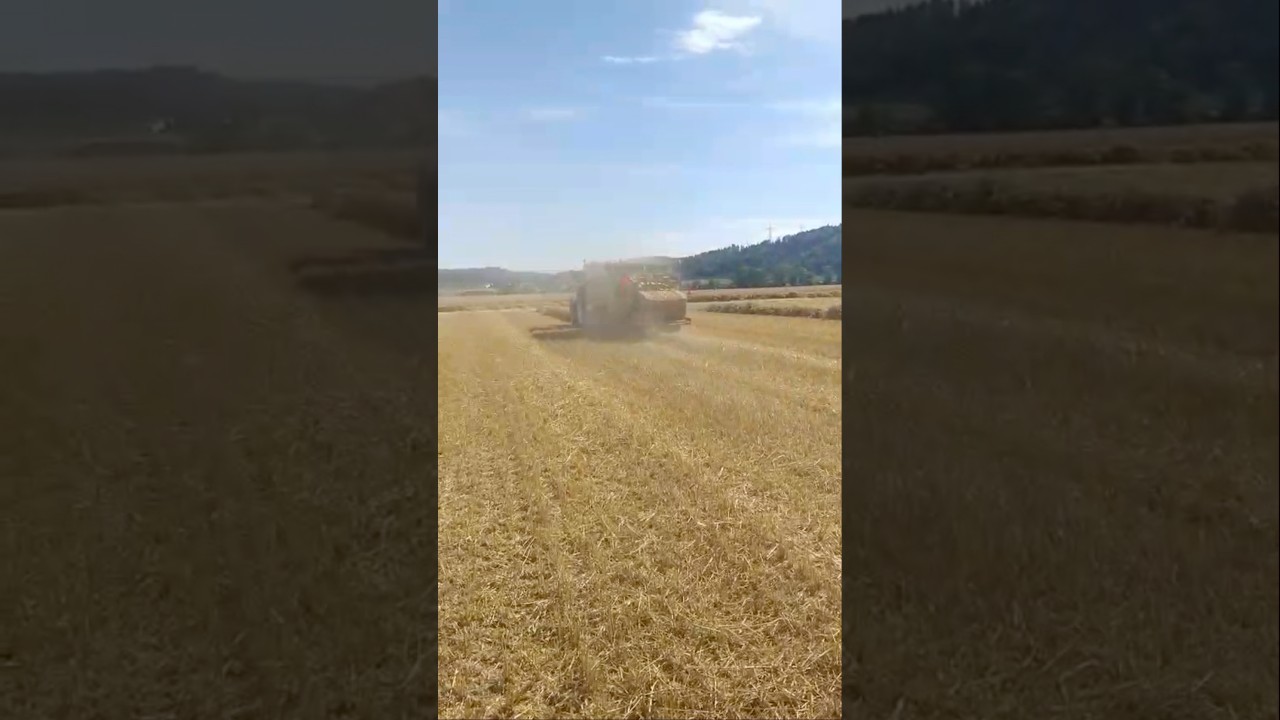 Fiatagri Winner F120 mit Quadrant 1200 RC Ernte 2025 🇨🇭