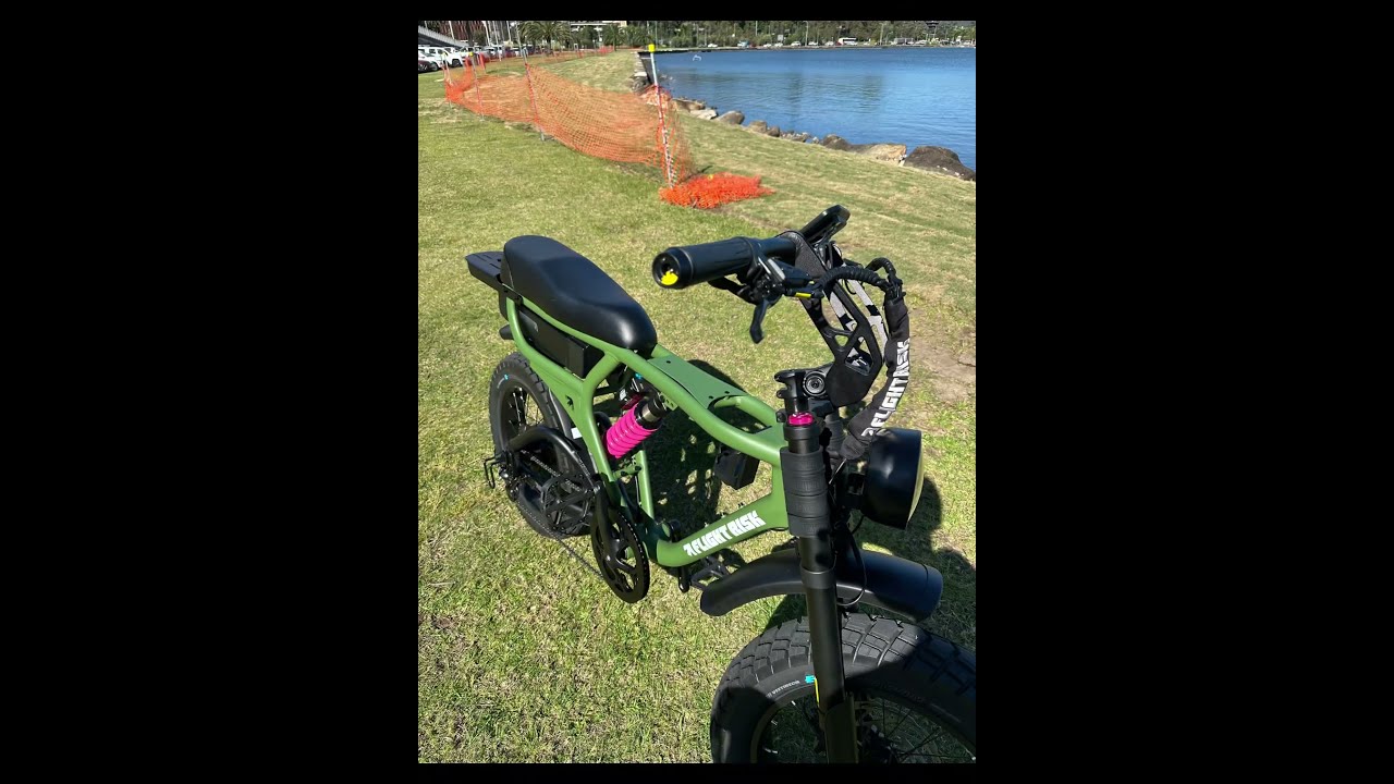 FR555 - Olive #ebike #fattyre #flightrisk