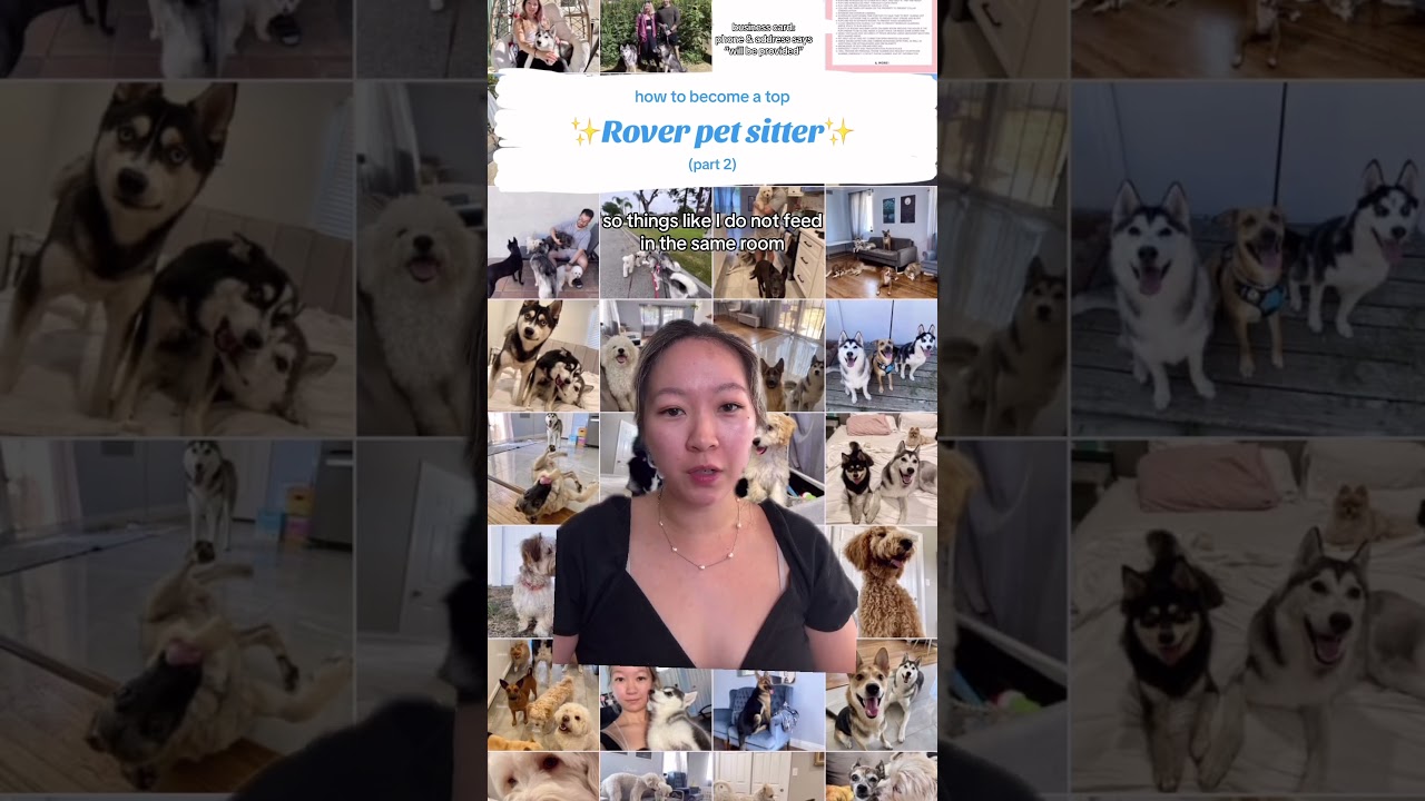 How to become a top Rover pet sitter (part 2)