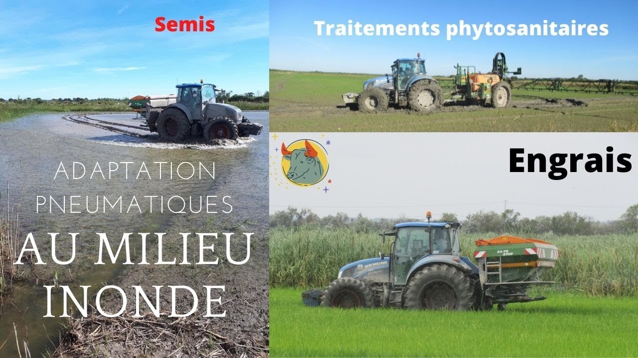 Adaptation des pneumatiques au milieu inondé (riziculture) - 2021